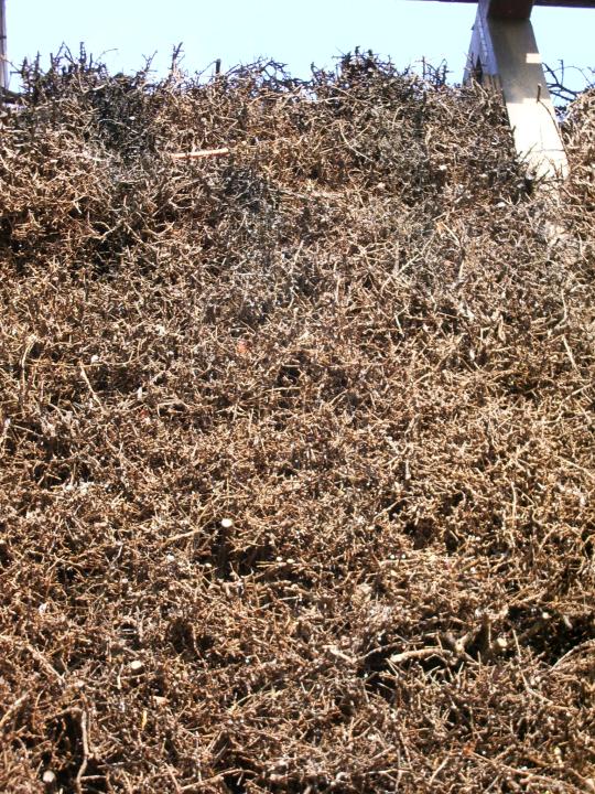 05.10.2005 15-01-00_0156 